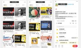 偷窃课程在线观看,在线观看背后的秘密与风险